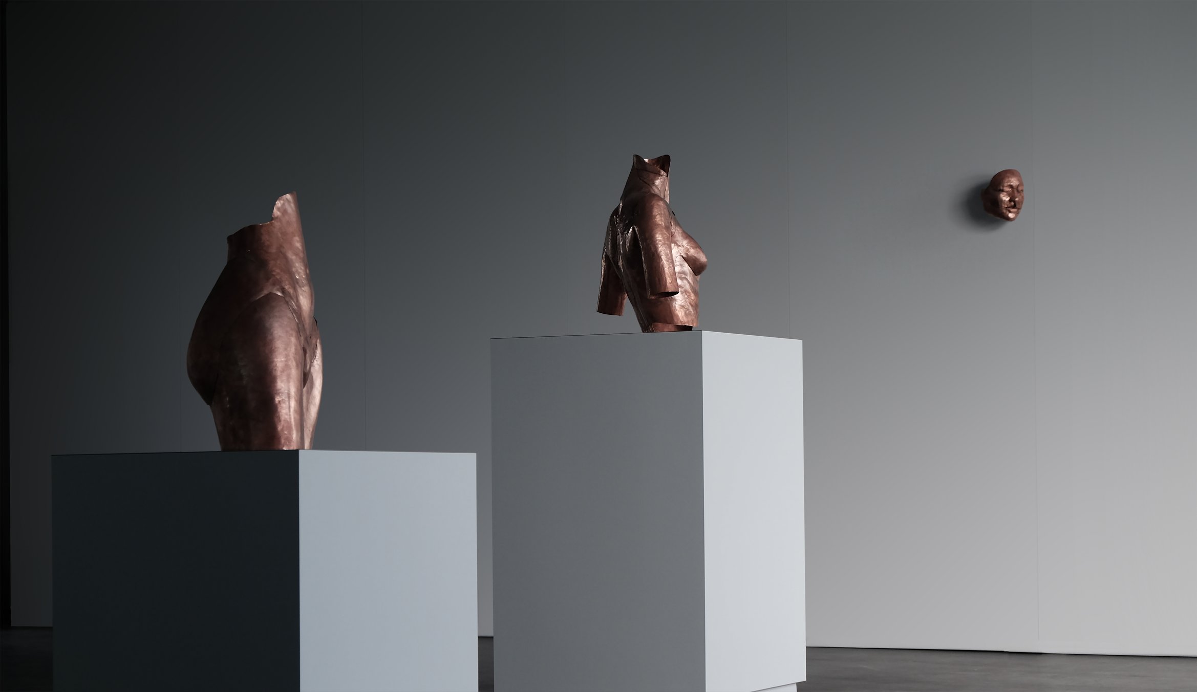 展示風景全体の写真