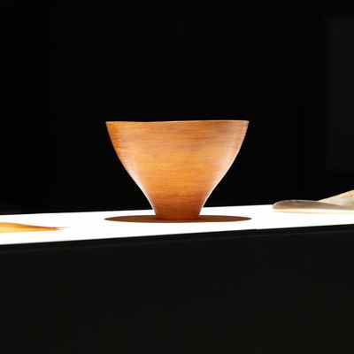 「命を纏う形、或いは、命に形を与える。のサムネイル画像」