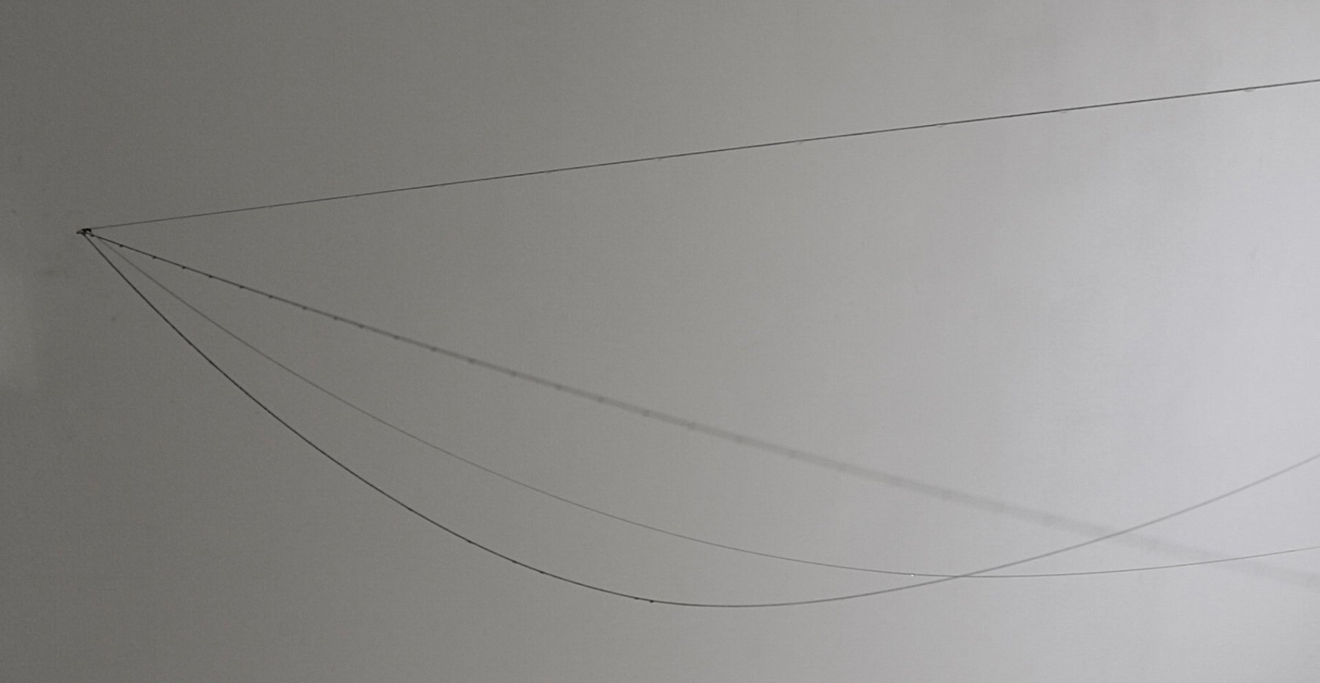 水滴が長く張られた糸をつたっている写真