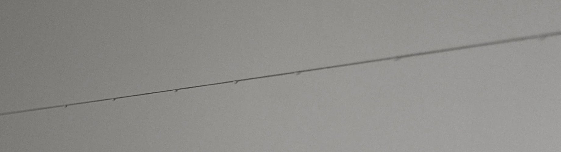 水滴が長く張られた糸をつたっている写真