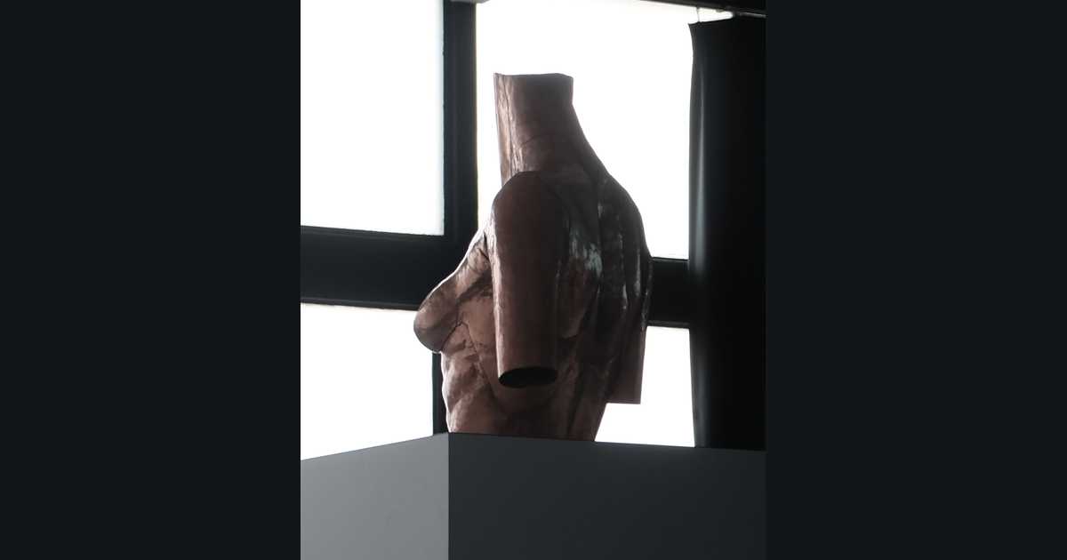 皮膚の彫刻 - 統合デザイン卒展2024 / web図録
