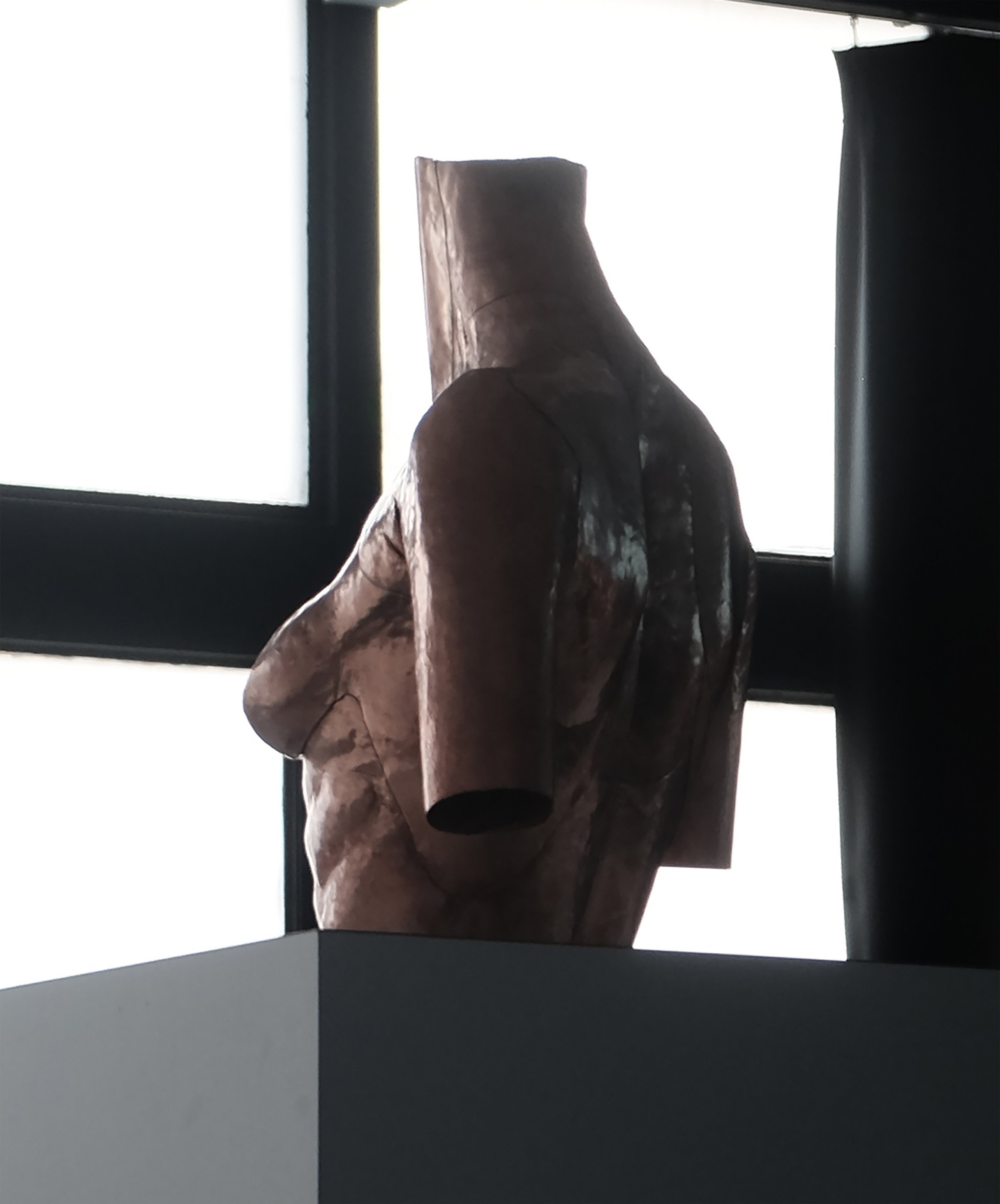 胸の形に彫刻された銅板。背中から見た写真。