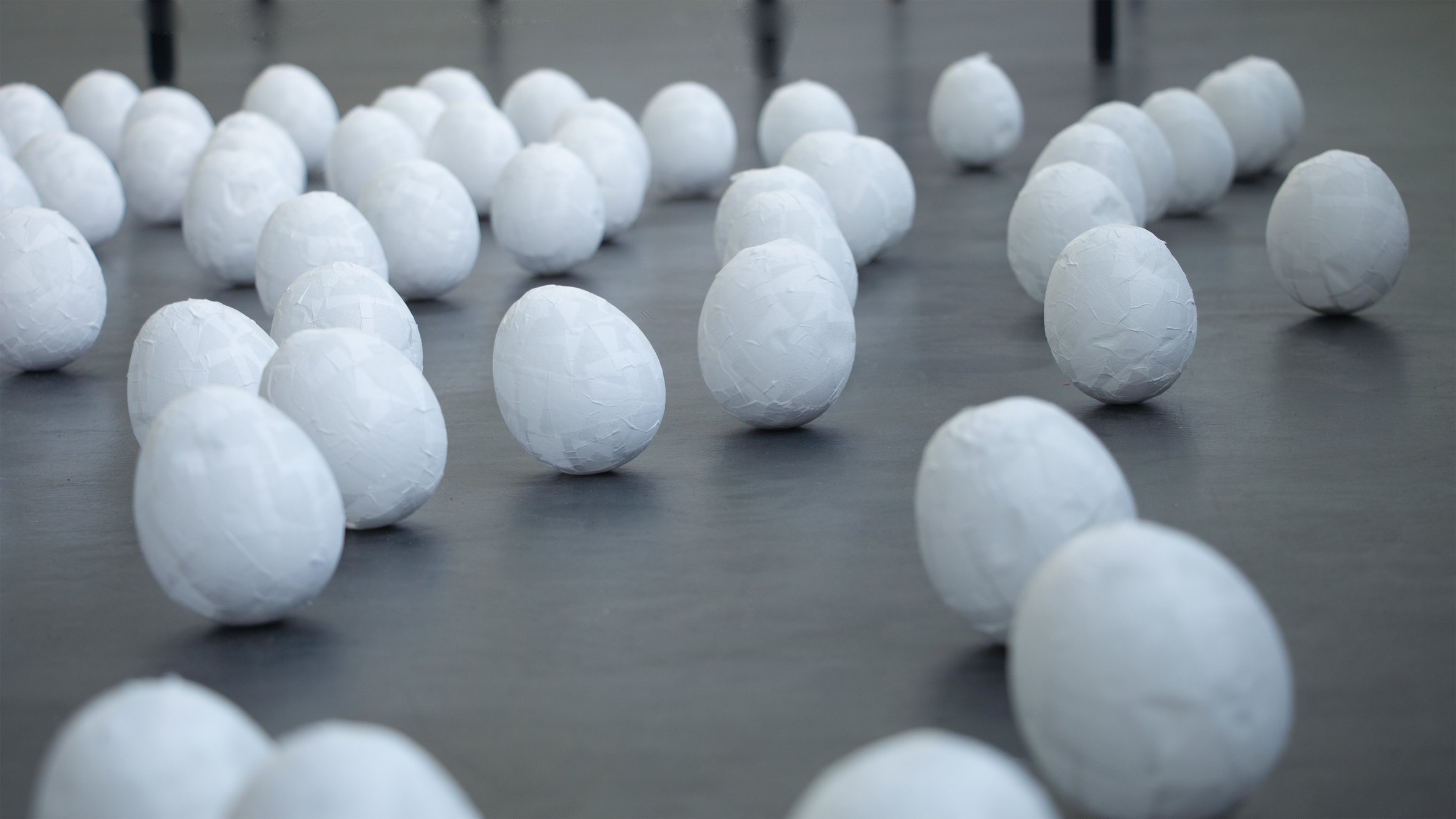 卵が揺らいでいる。接写