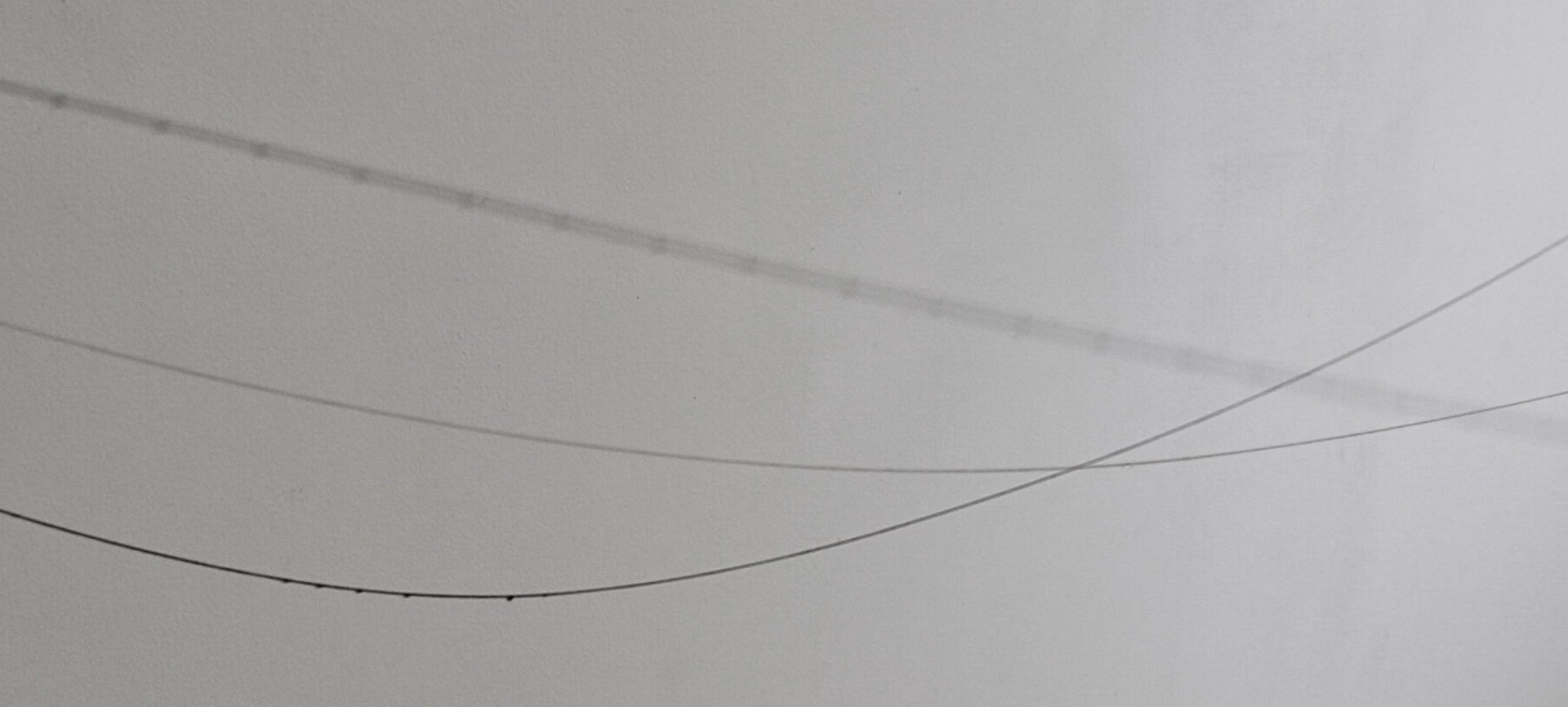 水滴が長く張られた糸をつたっている写真