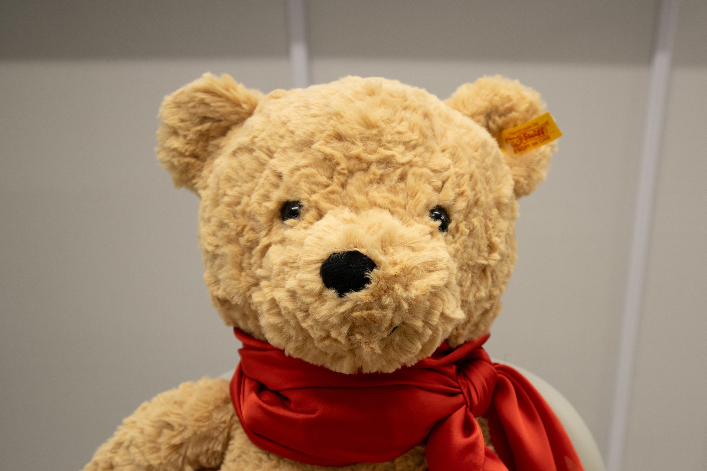 ラディベアの顔を写した写真。