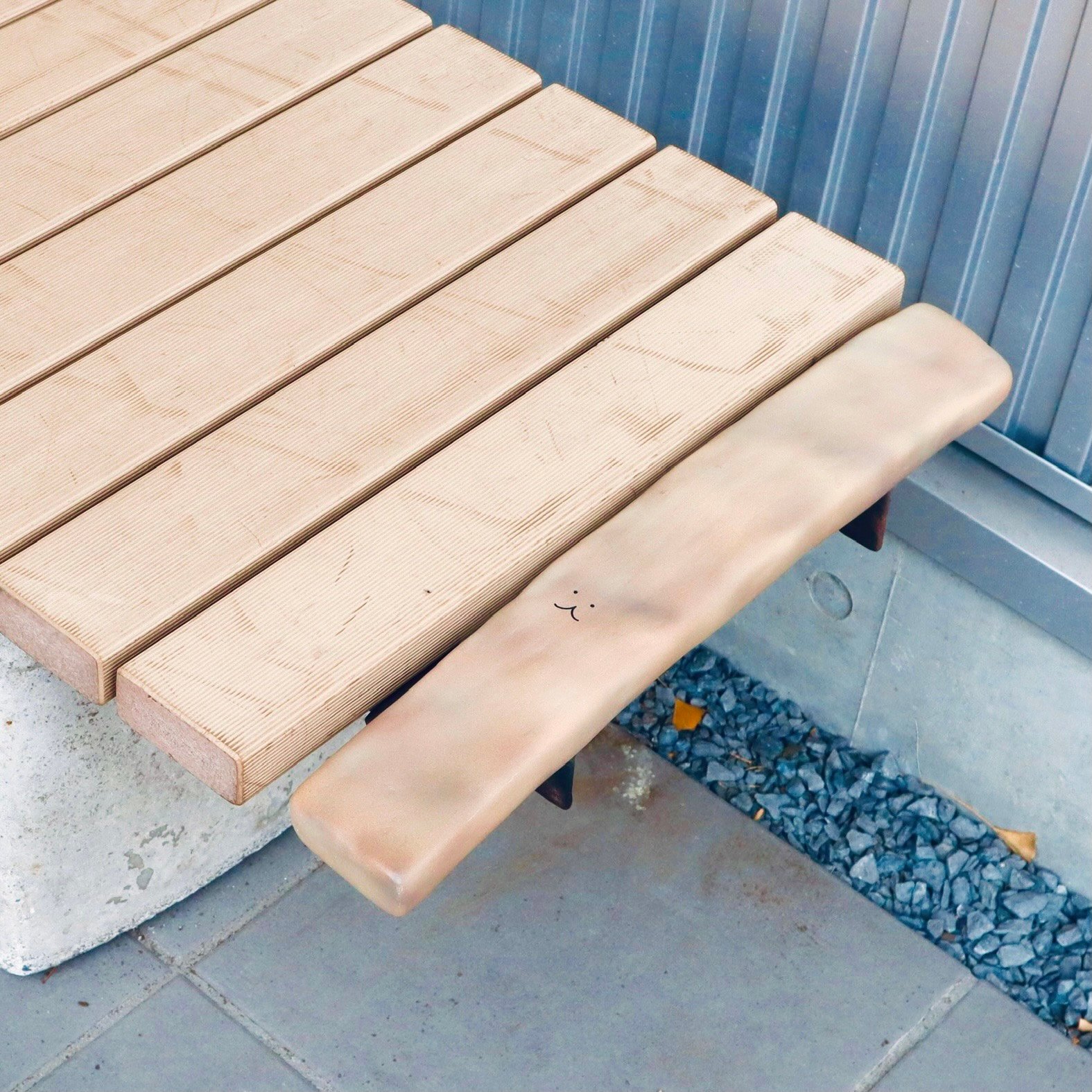 ベンチの木の板に擬態するうにゃもにゃ