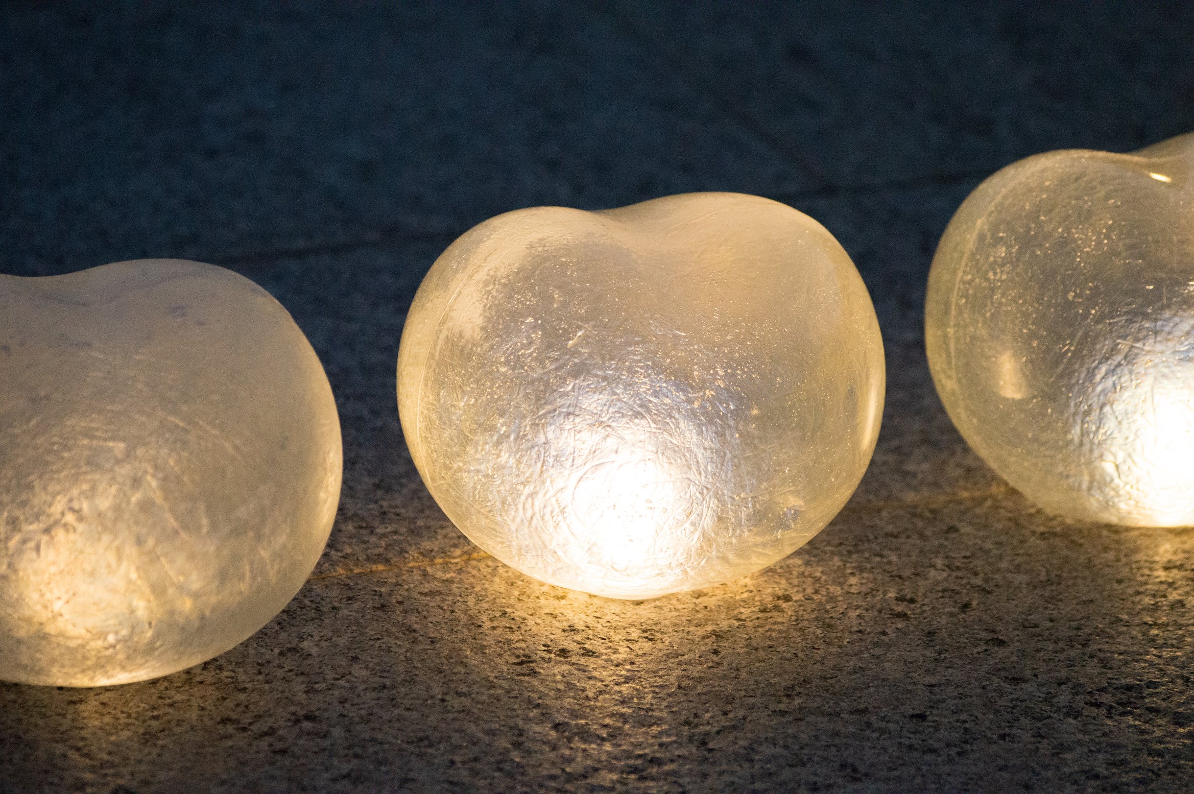 mameが夜を照らしている写真