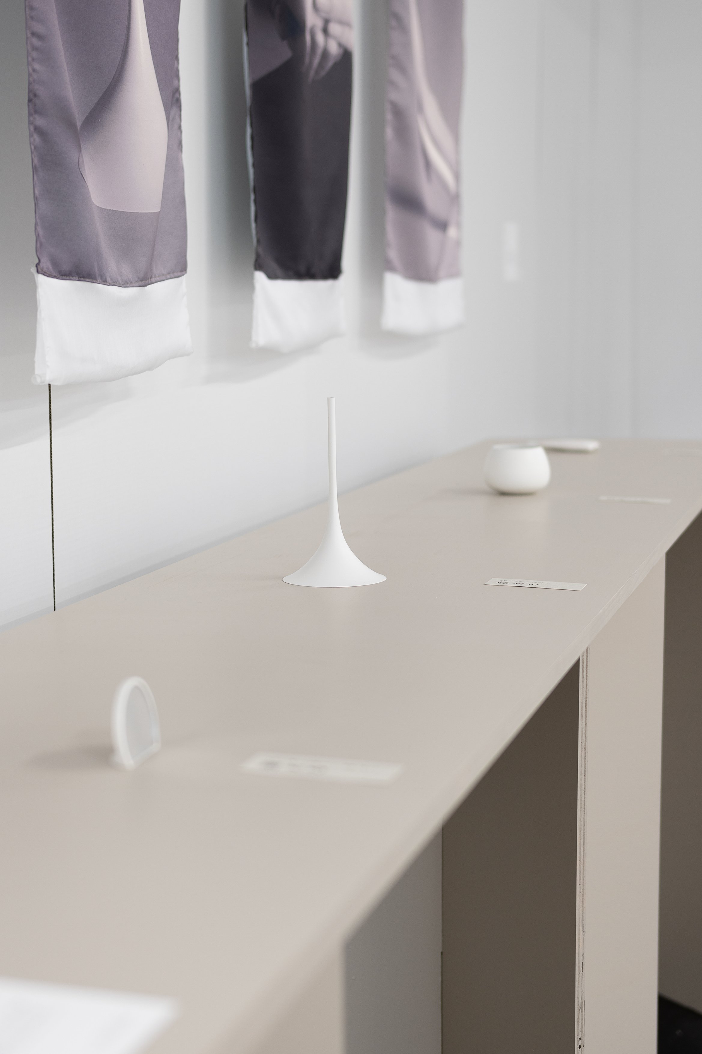 展示風景全体の写真