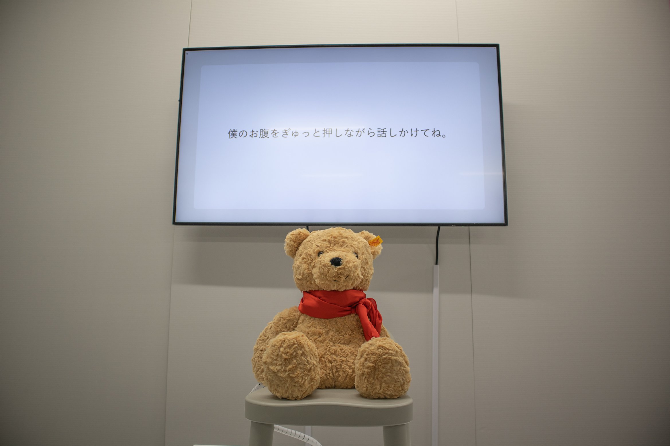 展示風景。「僕のお腹をぎゅっと押しながら話しかけてね。」とラディベアの奥のディスプレイに表示されている。