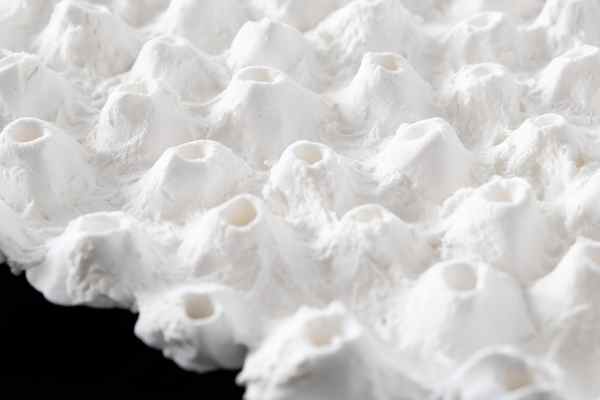 「Individualsのサムネイル画像」