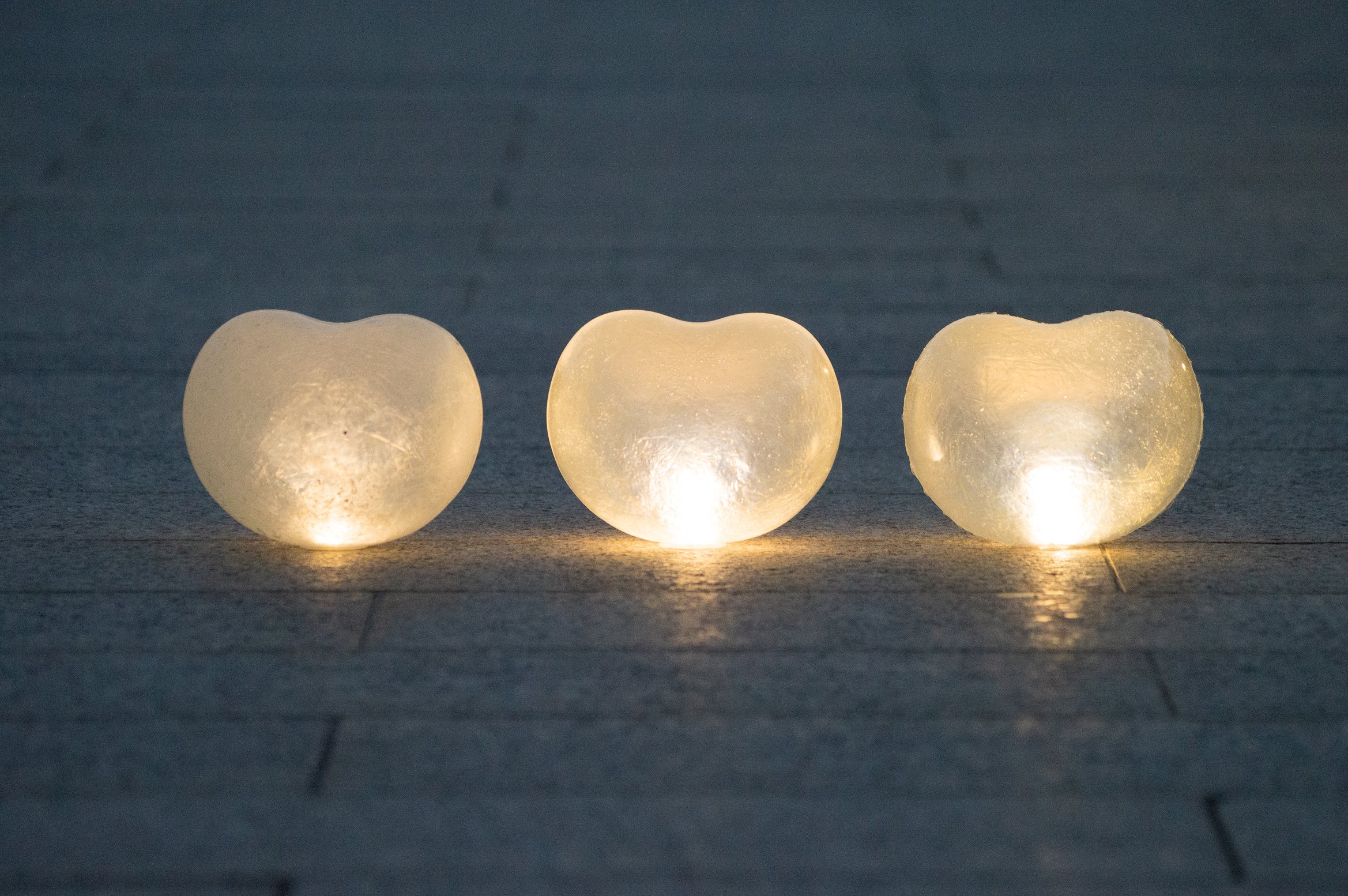 mameが夜を照らしている写真。正面から。