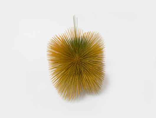 「あいまいなものたちのサムネイル画像」