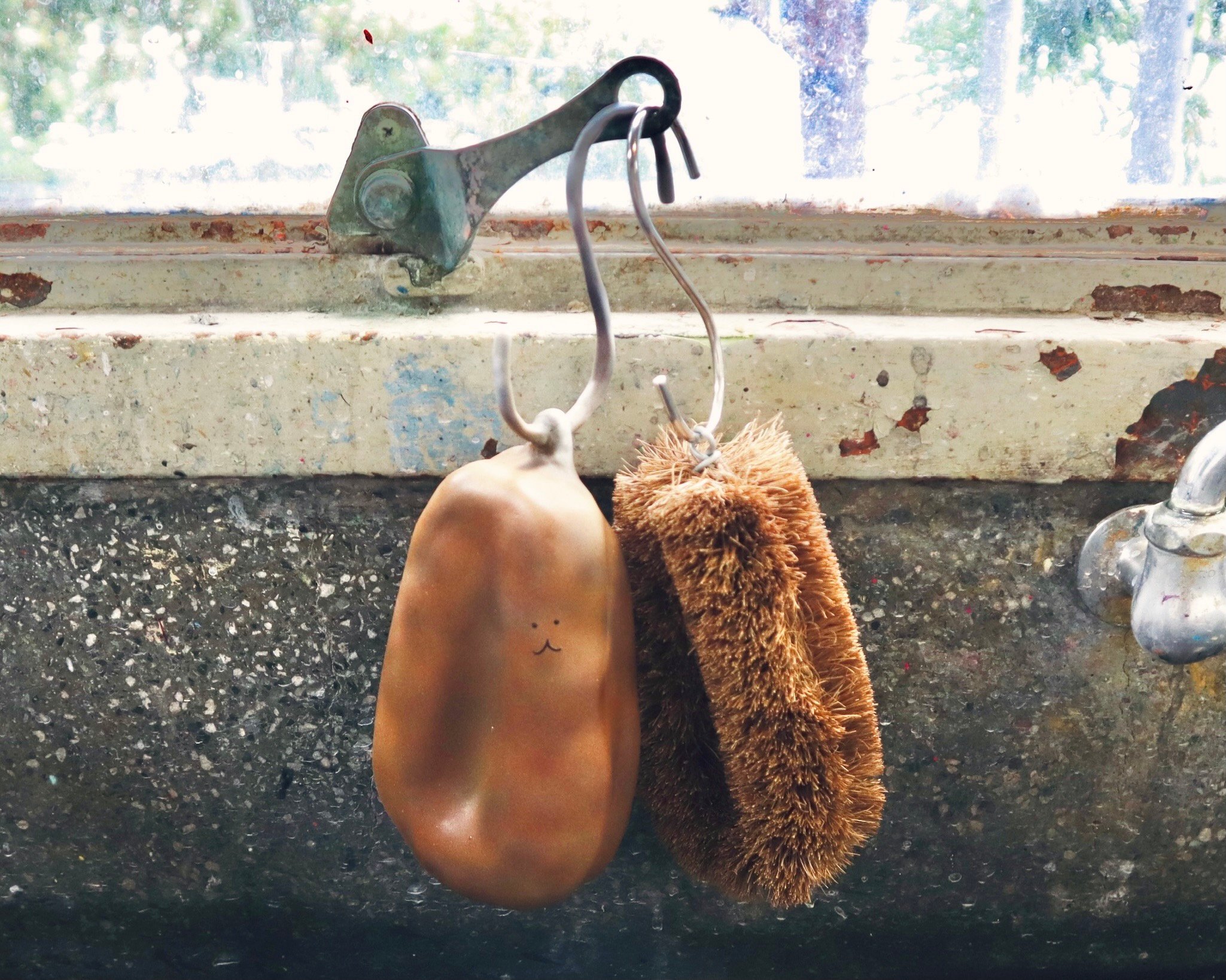 タワシに擬態するうにゃもにゃ