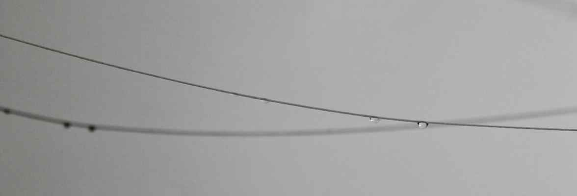 「つぶつぶのサムネイル画像」