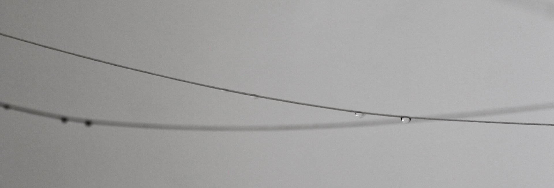 水滴が長く張られた糸をつたっている写真