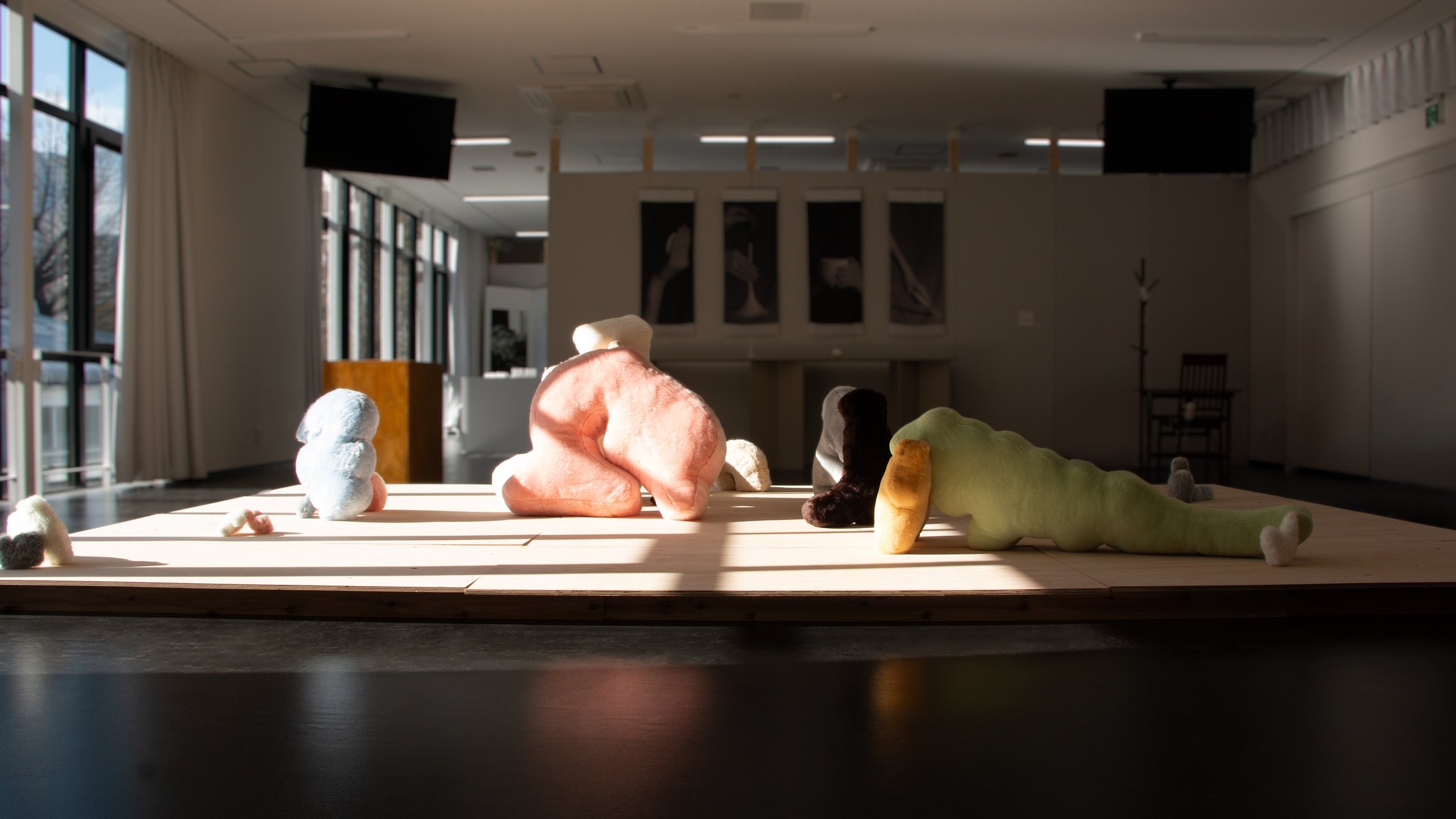 展示空間全体の写真。展示台が木材で作られている。